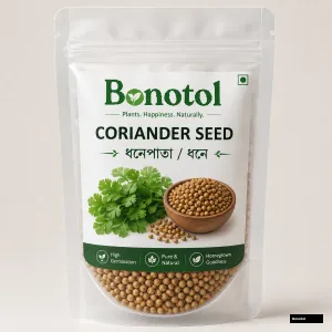 Coriander Seed